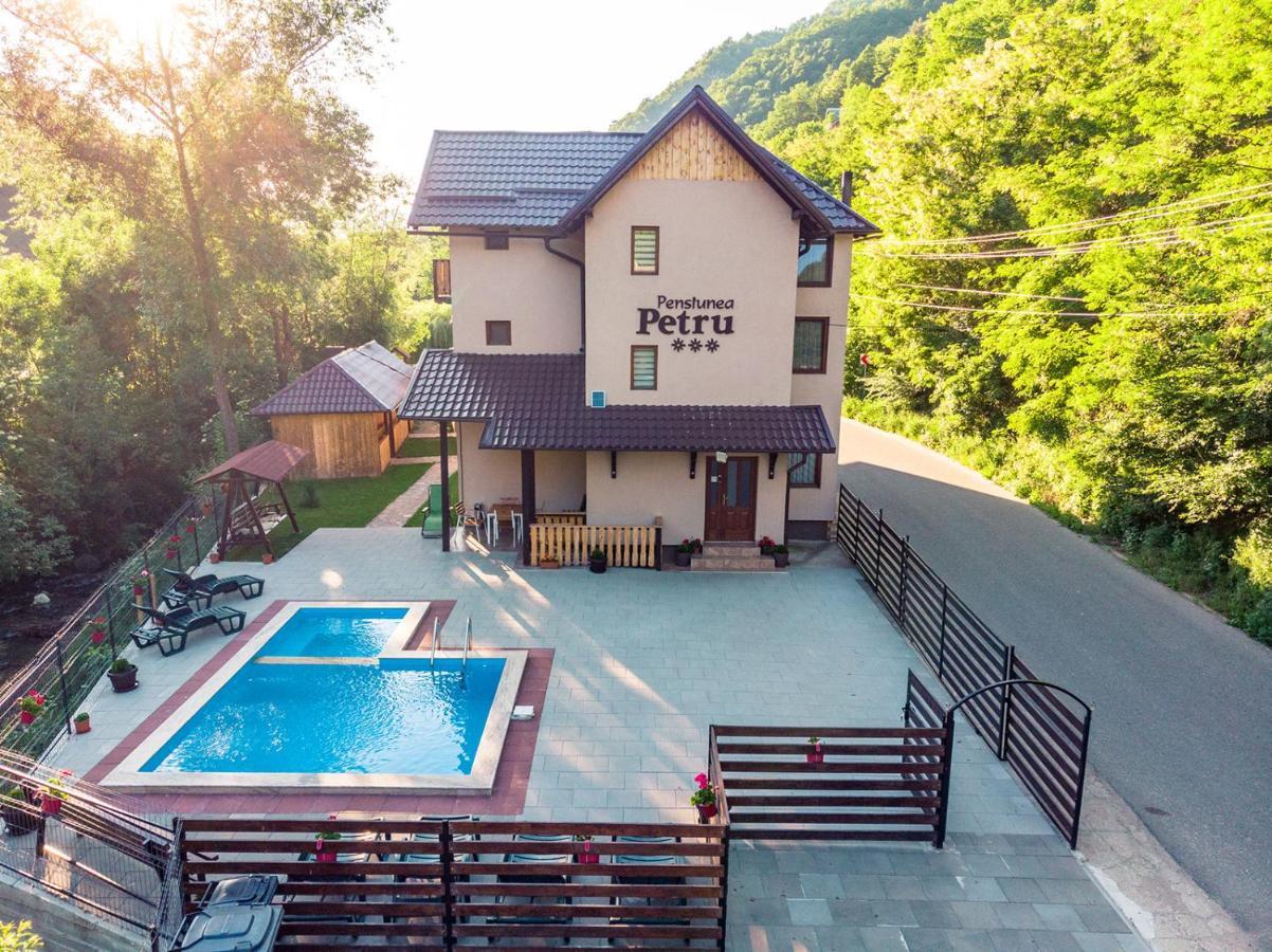 Maison d'hôtes Pensiunea Petru Şugag